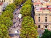 Ce que vous devez savoir sur les Ramblas de Barcelone