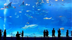 El Aquarium de Barcelona